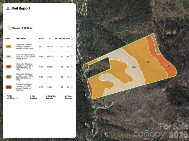99999 Saw Branch Road, Candler, NC 28715