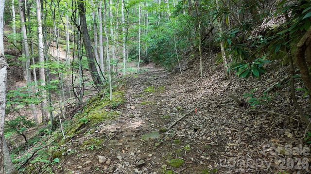 99999 Saw Branch Road, Candler, NC 28715