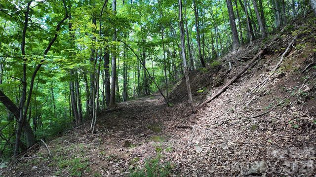 99999 Saw Branch Road, Candler, NC 28715