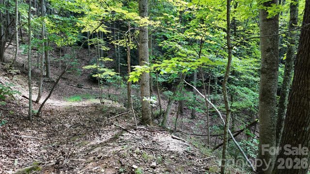 99999 Saw Branch Road, Candler, NC 28715