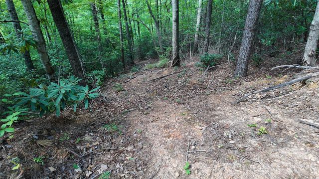 99999 Saw Branch Road, Candler, NC 28715