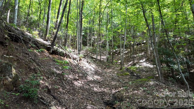 99999 Saw Branch Road, Candler, NC 28715