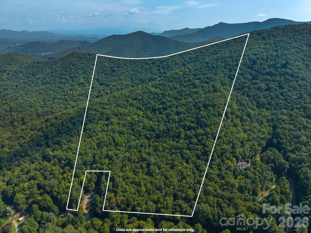 99999 Saw Branch Road, Candler, NC 28715