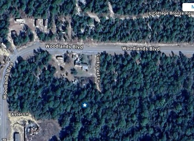 TBD Lucky Leaf Lane, Defuniak Springs, FL 32433