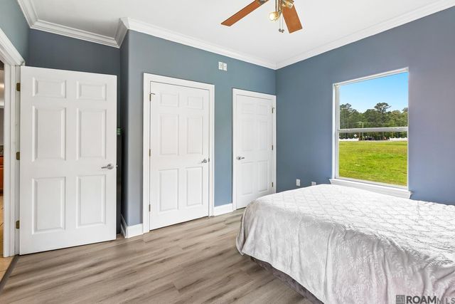 17258 Tchula Dr, Springfield, LA 70462