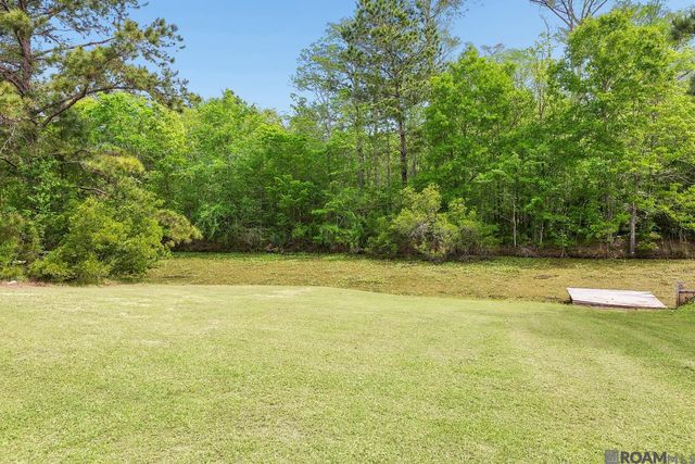 17258 Tchula Dr, Springfield, LA 70462