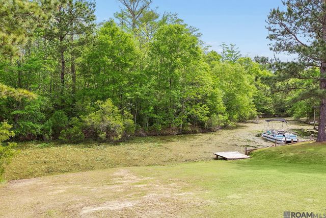 17258 Tchula Dr, Springfield, LA 70462