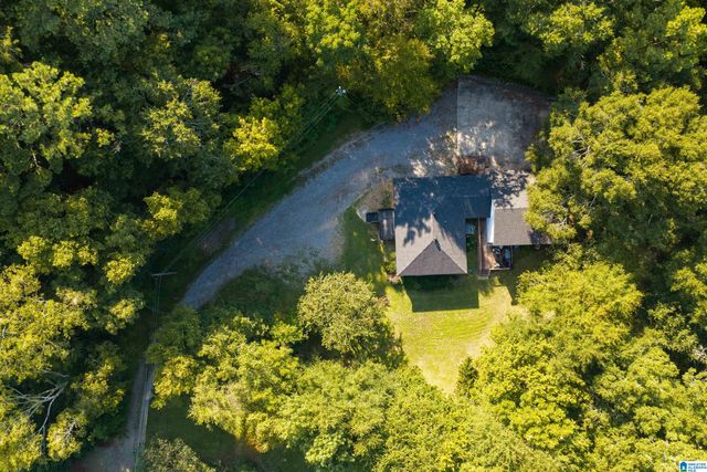 83 PARK AVENUE, Springville, AL 35146
