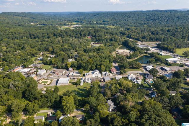 83 PARK AVENUE, Springville, AL 35146