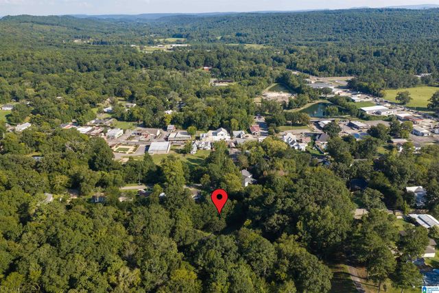 83 PARK AVENUE, Springville, AL 35146