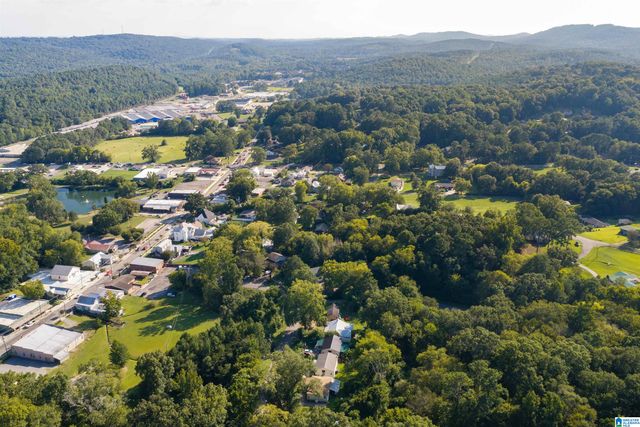83 PARK AVENUE, Springville, AL 35146