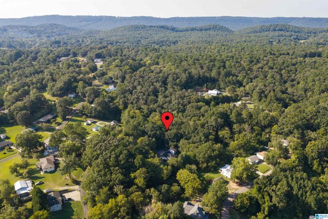 83 PARK AVENUE, Springville, AL 35146