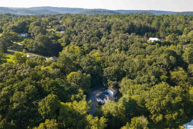 83 PARK AVENUE, Springville, AL 35146