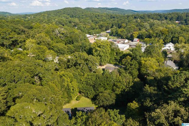 83 PARK AVENUE, Springville, AL 35146