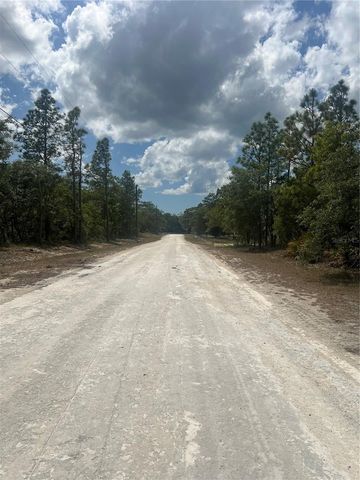 SAGE THRASHER AVE, Weeki Wachee, FL 34614