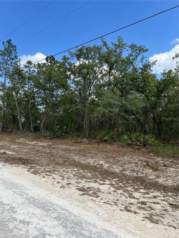 SAGE THRASHER AVE, Weeki Wachee, FL 34614