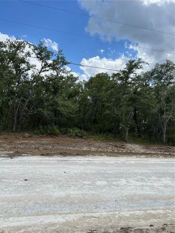SAGE THRASHER AVE, Weeki Wachee, FL 34614