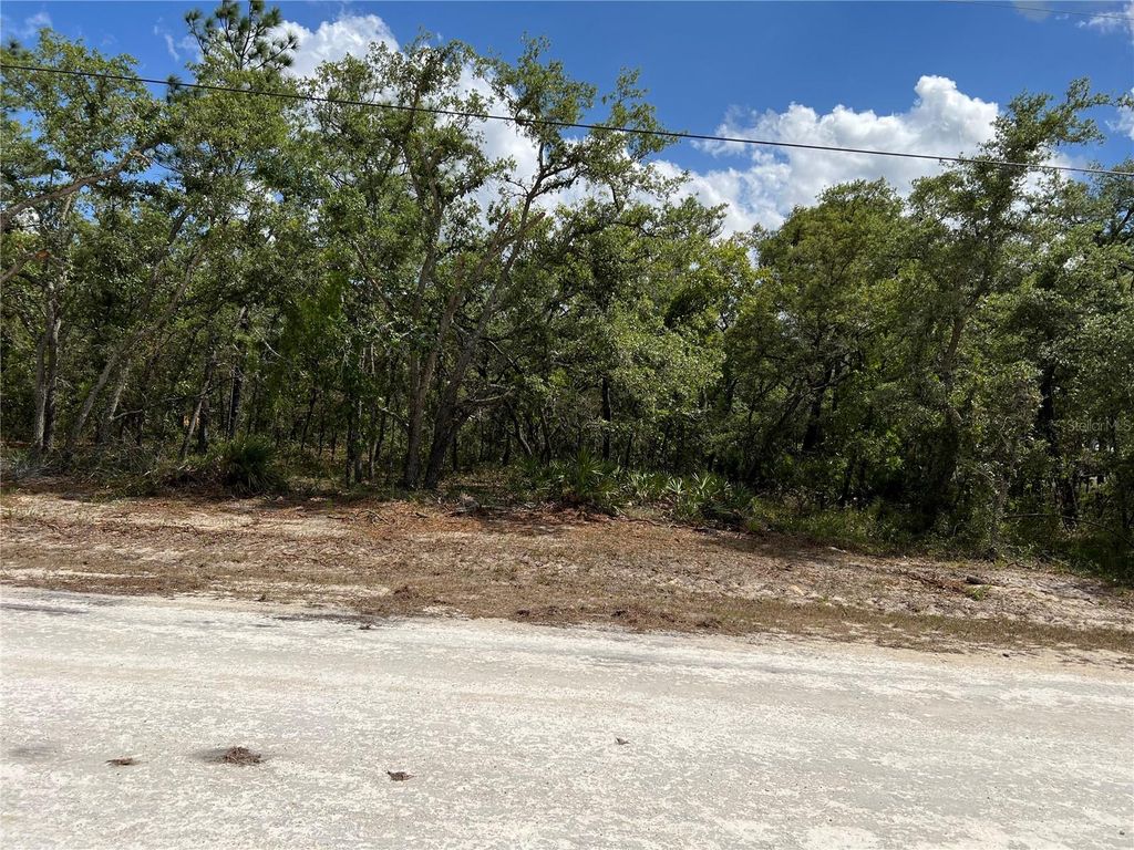 SAGE THRASHER AVE, Weeki Wachee, FL 34614