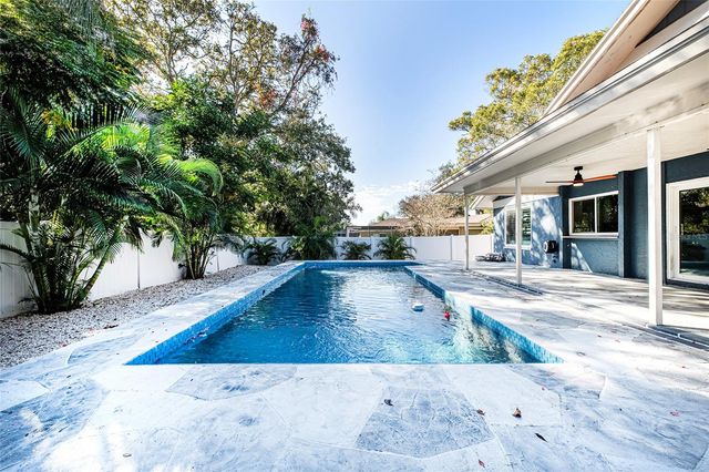 1599 BRAE MOOR LANE, Dunedin, FL 34698