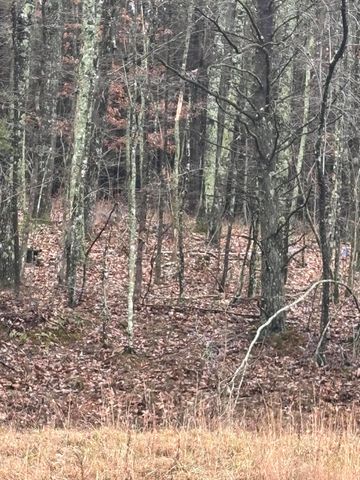 3699 Crockett Pointe, Jasper, TN 37347