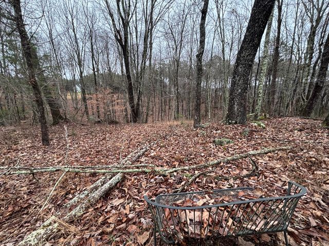 3699 Crockett Pointe, Jasper, TN 37347