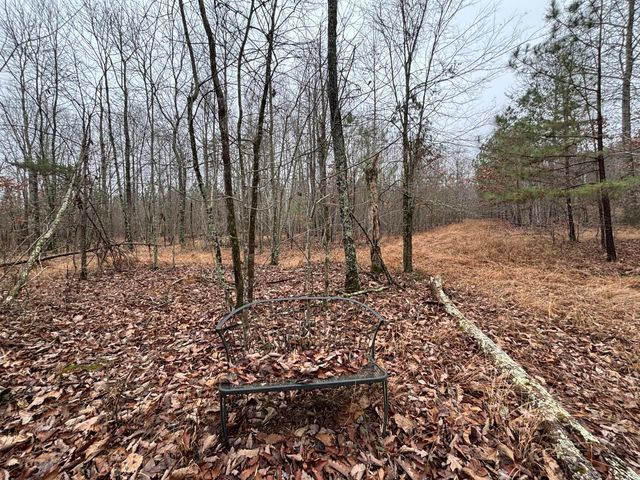 3699 Crockett Pointe, Jasper, TN 37347