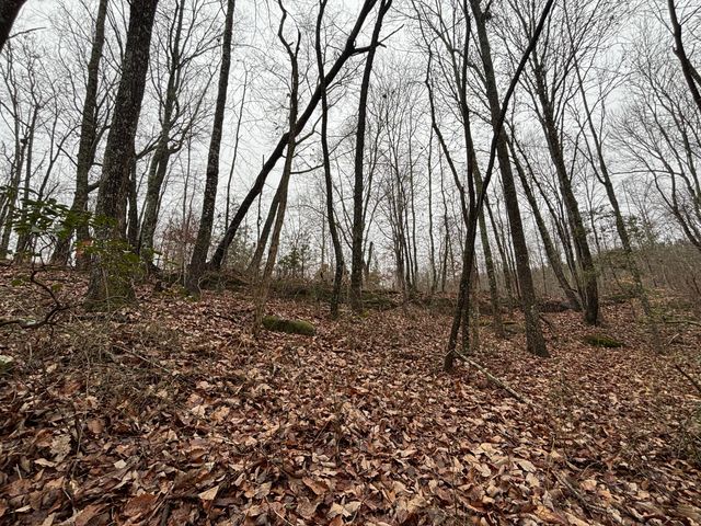 3699 Crockett Pointe, Jasper, TN 37347