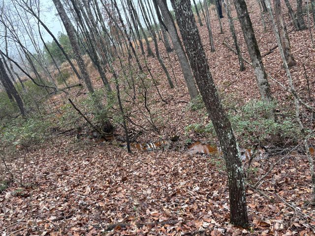 3699 Crockett Pointe, Jasper, TN 37347