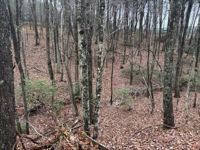 3699 Crockett Pointe, Jasper, TN 37347