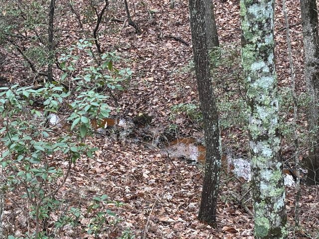 3699 Crockett Pointe, Jasper, TN 37347