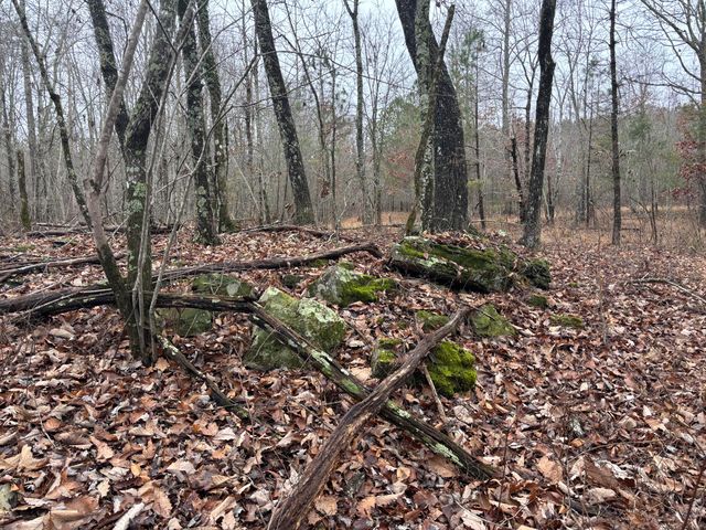 3699 Crockett Pointe, Jasper, TN 37347