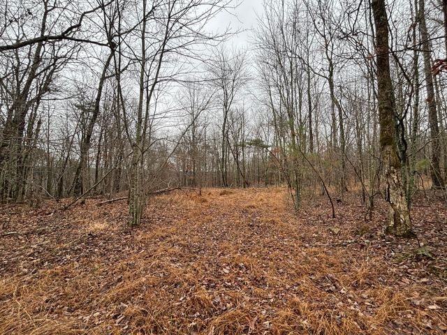 3699 Crockett Pointe, Jasper, TN 37347