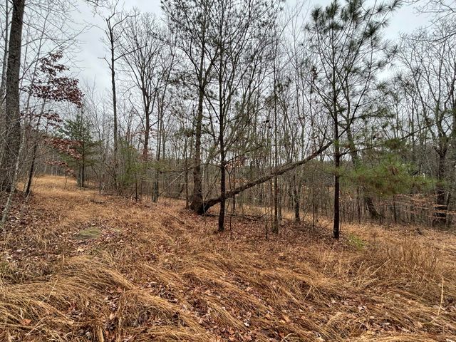 3699 Crockett Pointe, Jasper, TN 37347