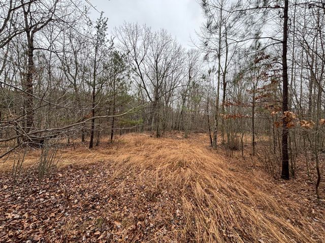 3699 Crockett Pointe, Jasper, TN 37347