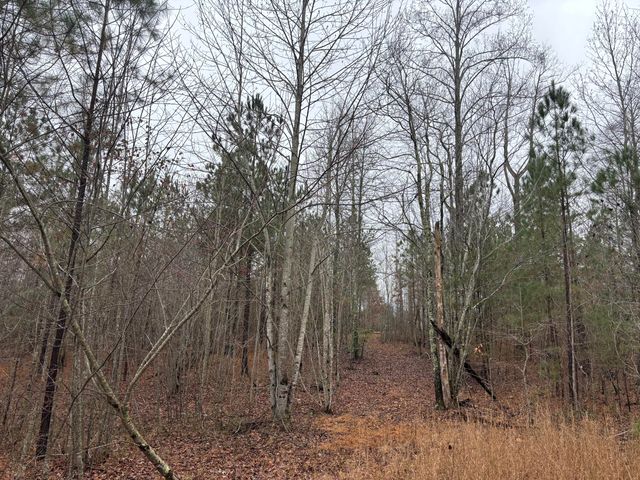 3699 Crockett Pointe, Jasper, TN 37347