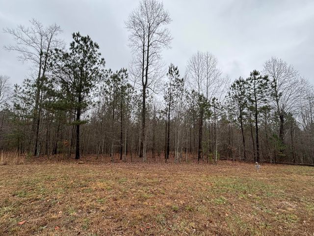 3699 Crockett Pointe, Jasper, TN 37347