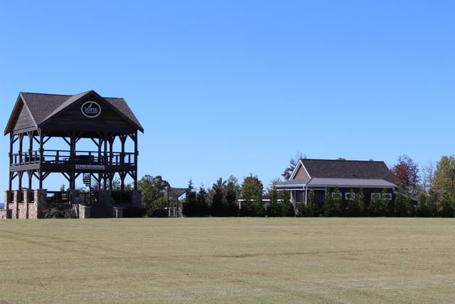 3699 Crockett Pointe, Jasper, TN 37347