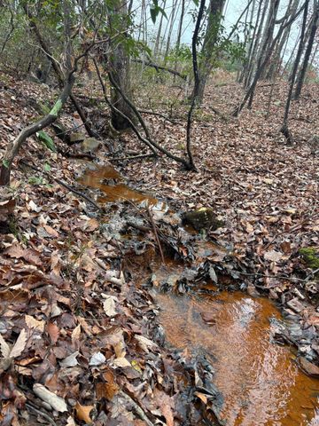 3699 Crockett Pointe, Jasper, TN 37347