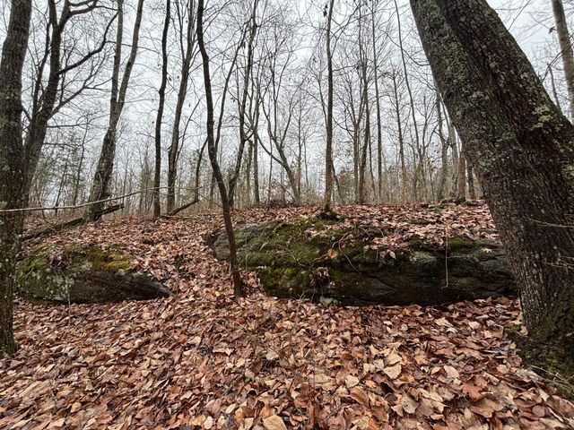 3699 Crockett Pointe, Jasper, TN 37347