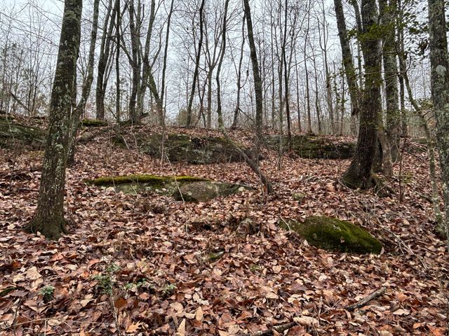 3699 Crockett Pointe, Jasper, TN 37347