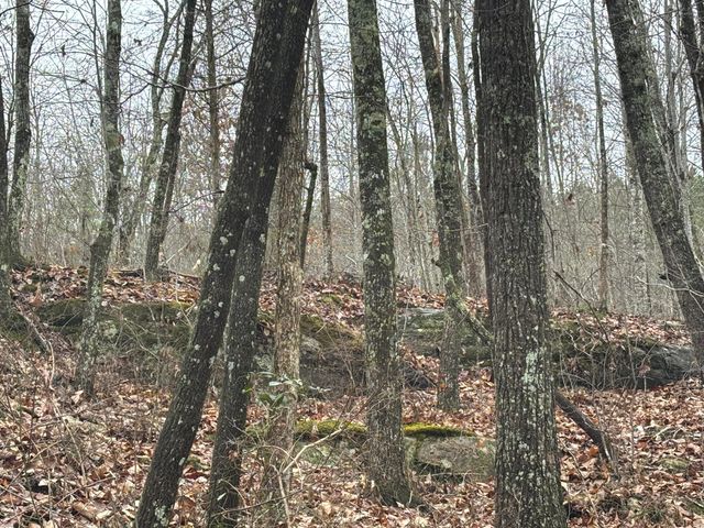 3699 Crockett Pointe, Jasper, TN 37347