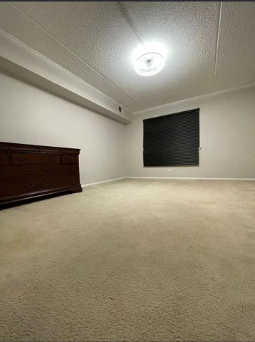 5S066 Pebblewood Lane B9, Naperville, IL 60563