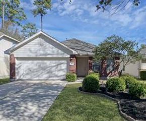 50 Thicket Grove Place, The Woodlands, TX 77385
