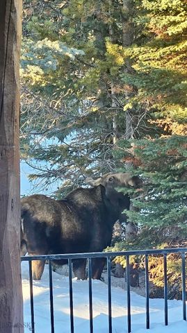 170 Hyalite Drive, Big Sky, MT 59716