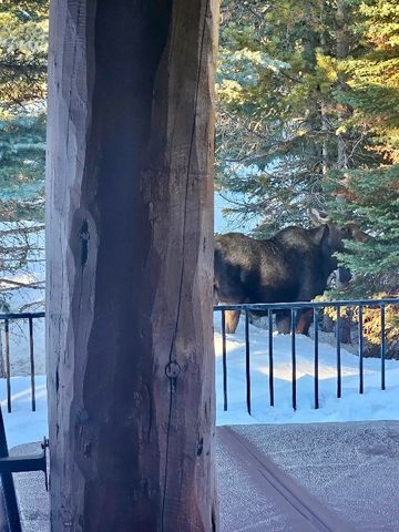 170 Hyalite Drive, Big Sky, MT 59716