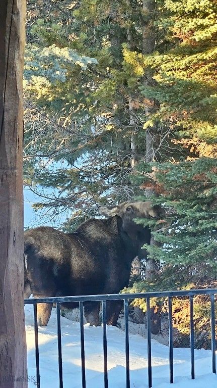 170 Hyalite Drive, Big Sky, MT 59716 photo 95