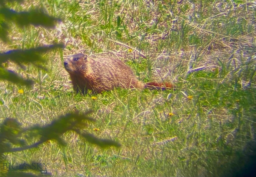 170 Hyalite Drive, Big Sky, MT 59716 photo 98