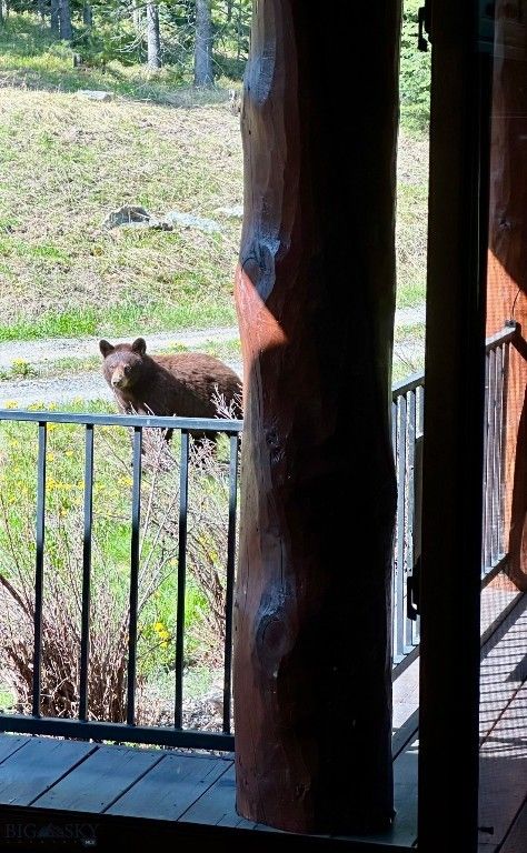 170 Hyalite Drive, Big Sky, MT 59716 photo 99