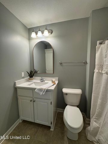 106 Ash Ridge Place, Pearl, MS 39208