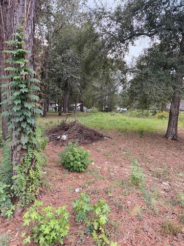 25546 Cambridge Boulevard, New Caney, TX 77357